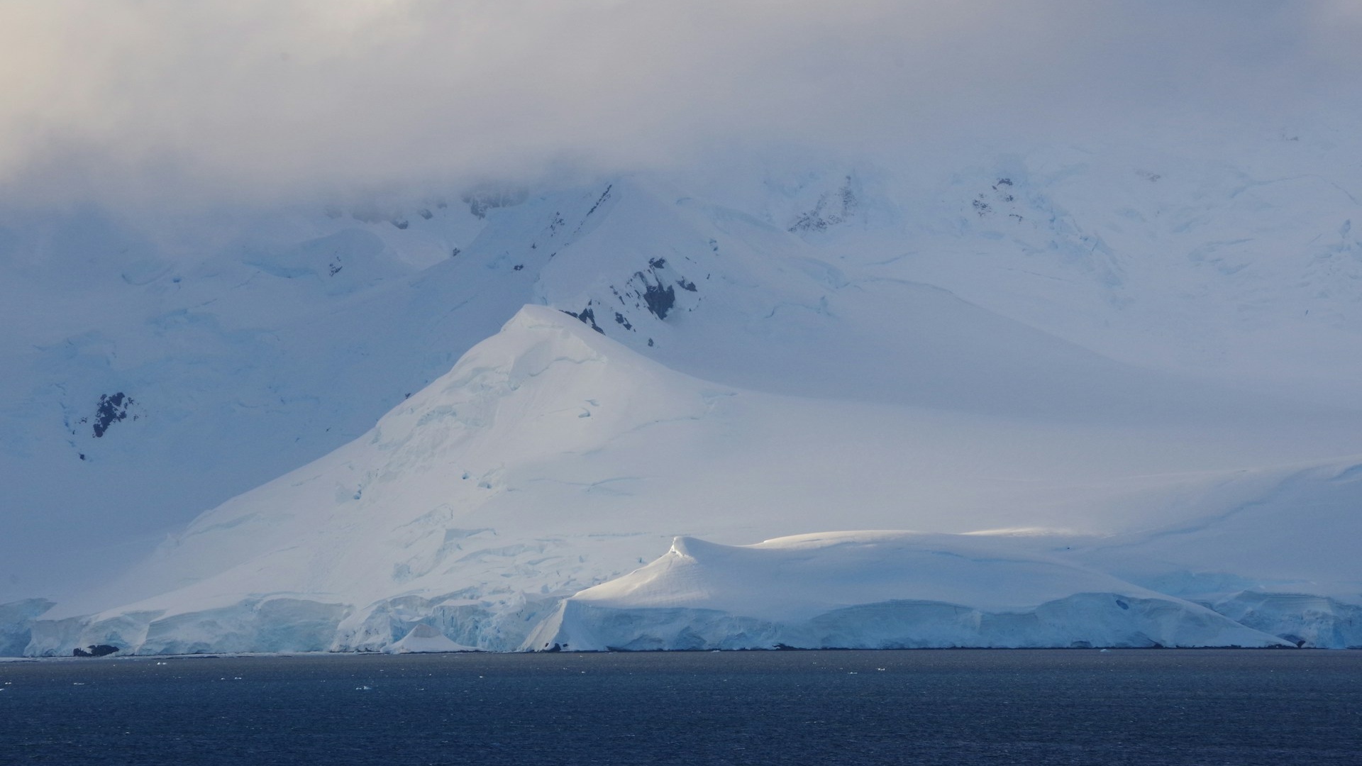 Antarctica | South Sandwich Islands Wildlife & Volcanoes