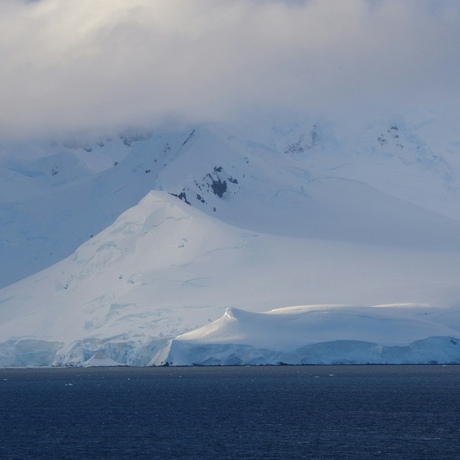 Antarctica | South Sandwich Islands Wildlife & Volcanoes